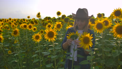 Das-Bauernmädchen-Beobachtet-Und-Berührt-Die-Sonnenblumen.-Sie-Genießt-Das-Tolle-Wetter-Im-Sonnenblumenfeld.-Ein-Wunderschöner-Tag-In-Der-Natur.